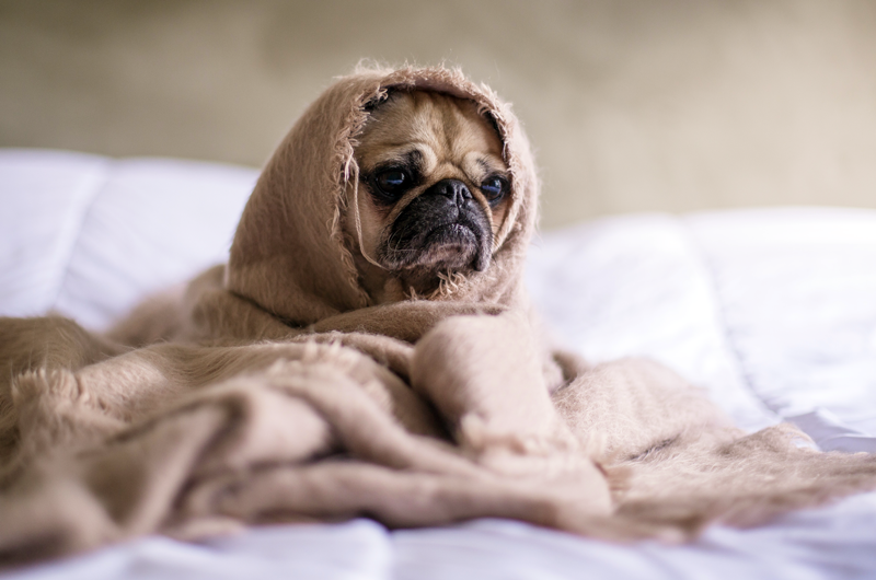 8 Science-Backed Ways to Relieve Holiday Stress