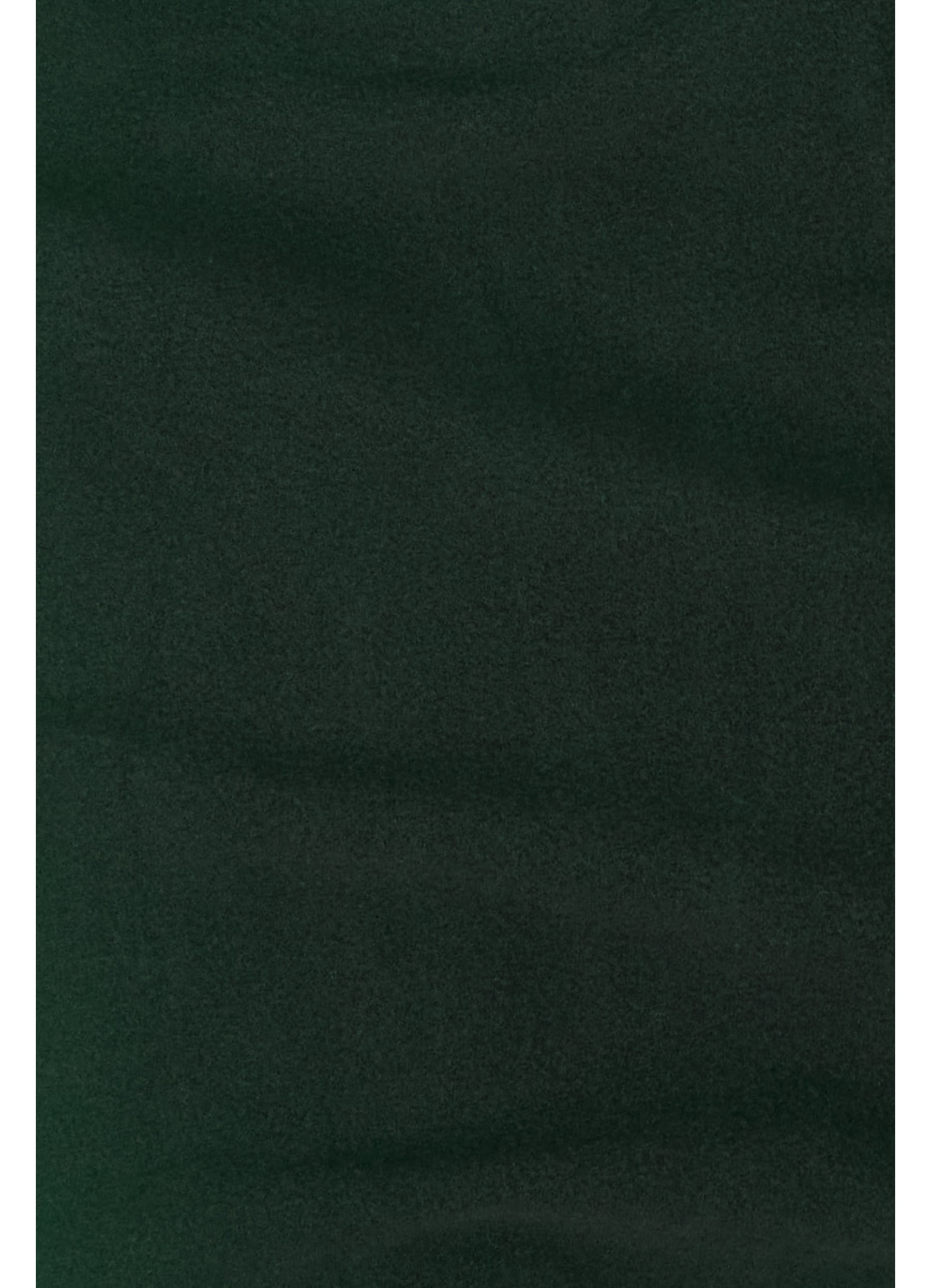 Dark Spruce